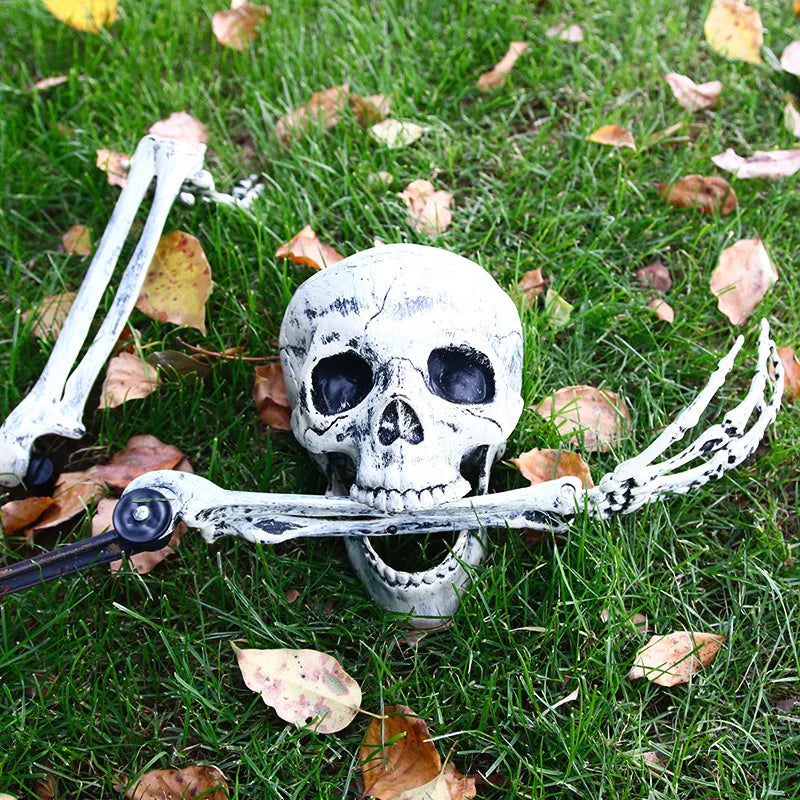 Halloween Skull & Skeleton Hand Decoration