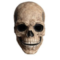 Movable Jaw Latex Skull Mask