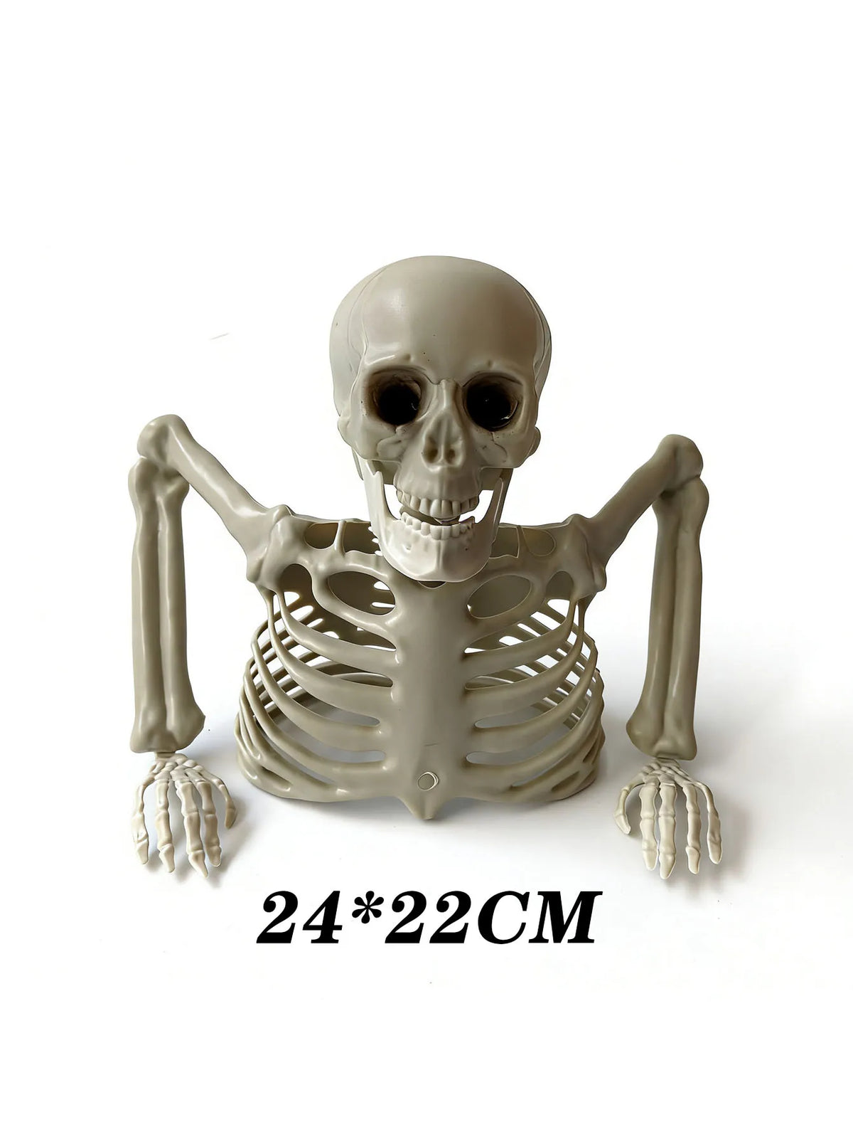 Halloween Half Skeleton Party Decoration